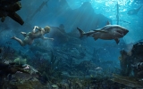 1374511829-underwater-shark 1374511829-underwater-shark