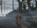Bloodborne-_20150316000755.jpg Bloodborne-_20150316000755.jpg
