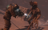 1362666037-7 1362666037-7
