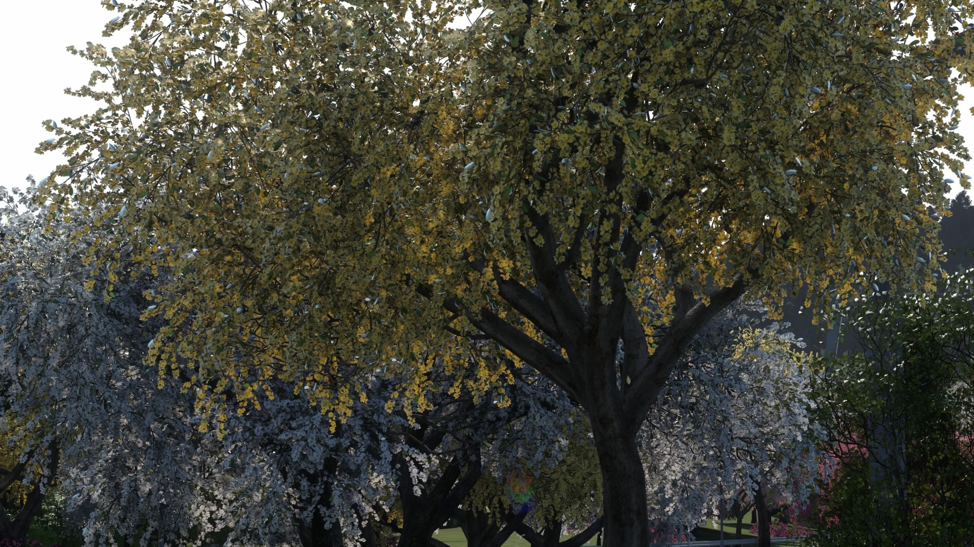 DRIVECLUBâ¢_20150124201631