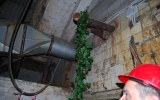 dsc_4611 dsc_4611