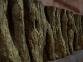 jacob-norris-bark2.jpg jacob-norris-bark2.jpg