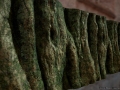 jacob-norris-bark3.jpg jacob-norris-bark3.jpg